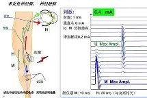 开云体育下载 -bt888体球