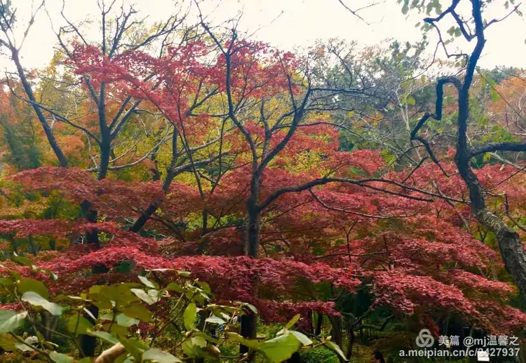 6渓舖)A?的简单介绍