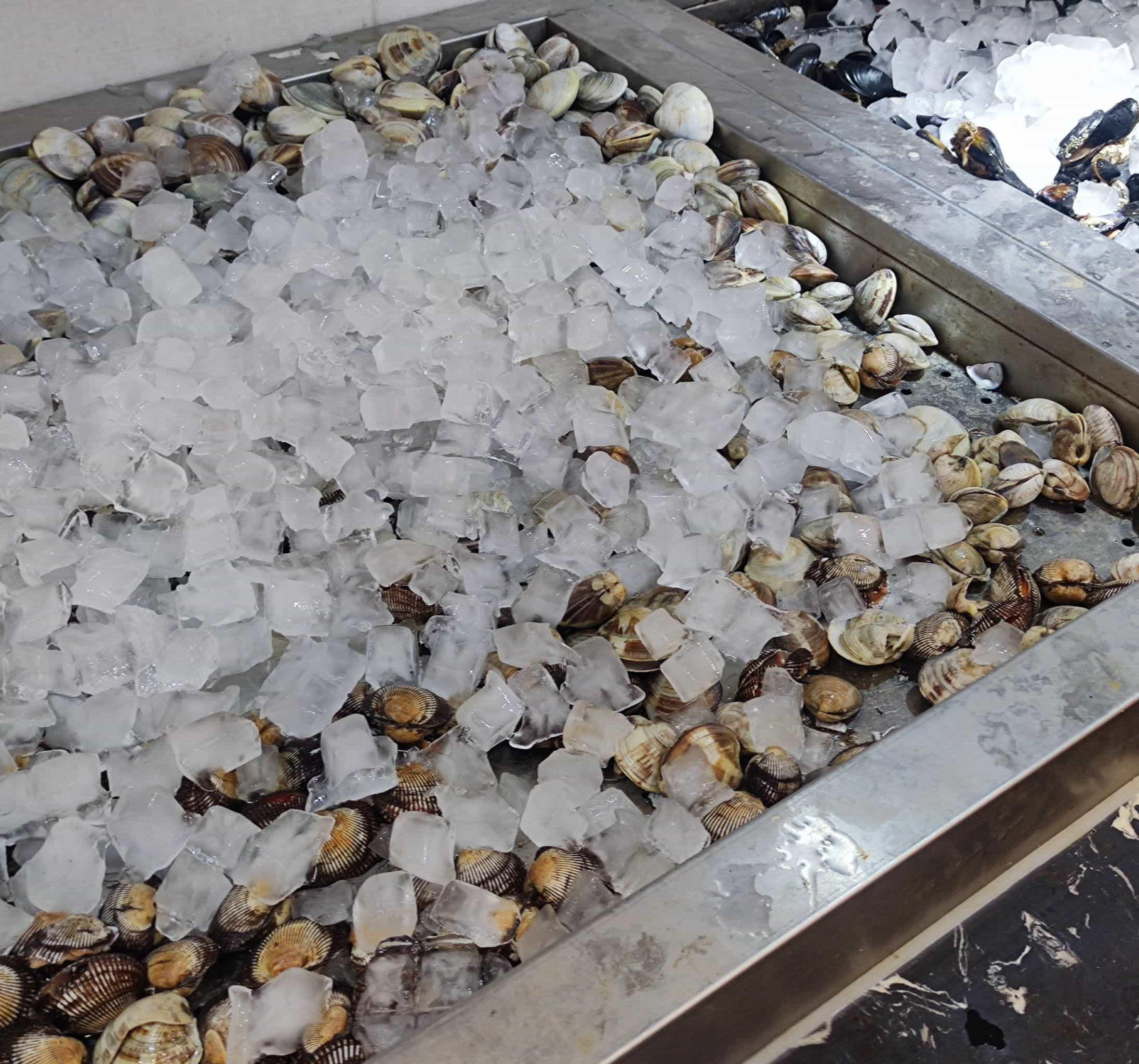 刁民福星电影在线观看